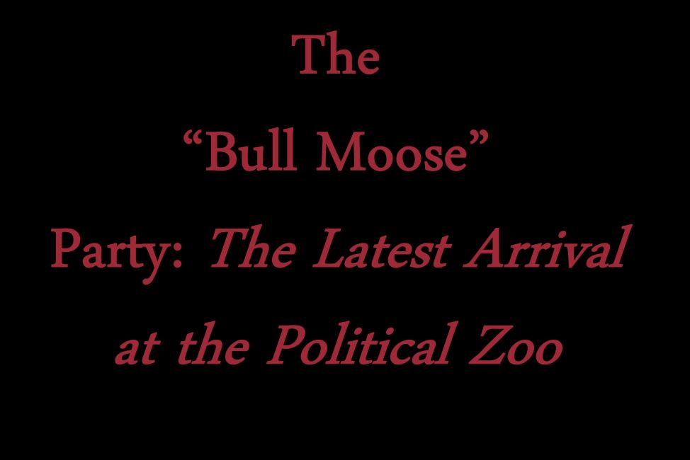The Bull Moose