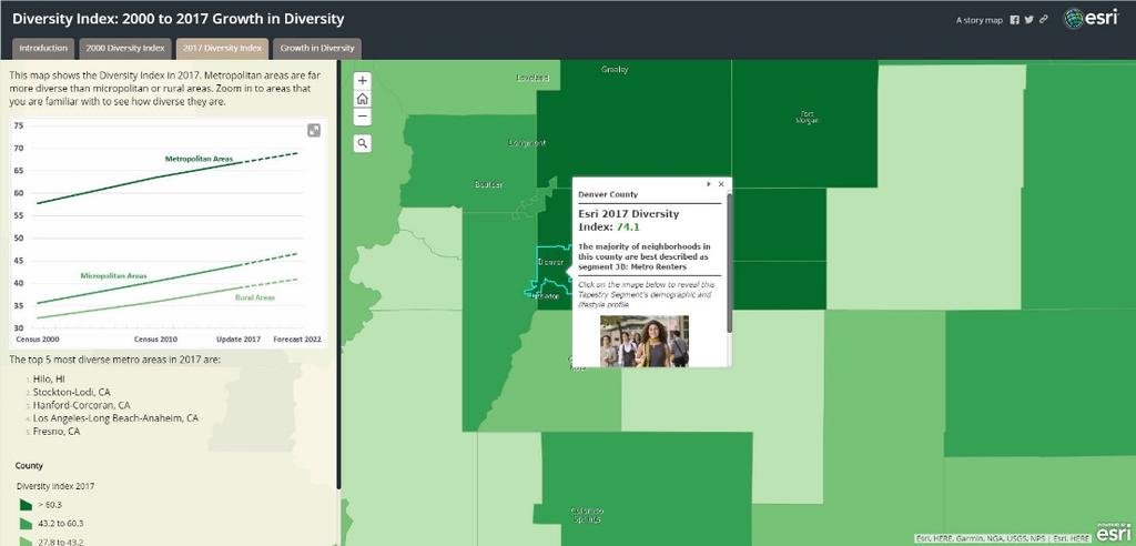 2017/2022 Esri Diversity Index J10170 Definition of Diversity Index The Diversity Index from Esri represents the likelihood that two persons, chosen at random from the same area, belong to different