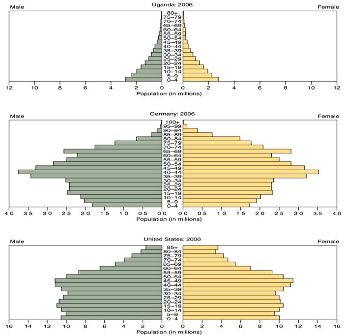 Population Representations Population Pyramids Age and sex structure