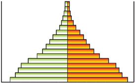 Population Pyramid in the Palestinian Territory, End 2011 Age Group 80+ 75-79 70-74 65-69 60-64 55-59 50-54 45-49 40-44 35-39 30-34 25-29 20-24 15-19 10-14 5-9 0-4 Females Males 350 300 250 200 150