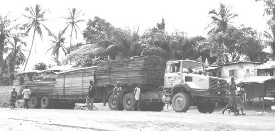 Liberian timber and the war in Côte d Ivoire Both the Ivorian government and the Forces Nouvelles are profiting from logging in western regions of Côte d Ivoire a, taking the money raised through