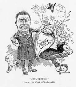 Teddy Roosevelt taming the trusts TR thought federal government should only intervene in cases where trusts hurt the public interest.