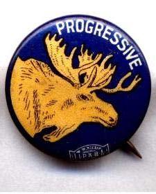 Roosevelt and his supporters started a new party called the Progressive Party or the Bull-Moose Party. The Bull Moose Party Adopted a platform of Direct election of senators.