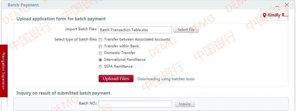 Batch Remittance Upload Select the remittance type. Press the browse button to select the local file, created by the batch tool.
