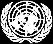WITH SPECIAL NEEDS: LEAST DEVELOPED COUNTRIES, LANDLOCKED DEVELOPING COUNTRIES AND SMALL ISLAND DEVELOPING STATES (Item 2 (d) of the provisional agenda) EMERGING ISSUES IN THE IMPLEMENTATION OF THE
