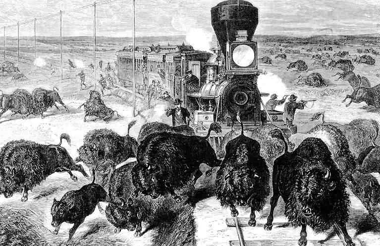 while working for Kansas-Pacific RR Buffalo Bill 2) RR ads for buffalo