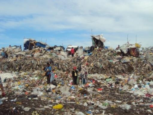 PROFILE OF SOME WASTE PICKERS IN THE PHILIPPINES Formerly called Scavengers waste pickers are called mangangalakal, mangangalahig, mambabasura, mangaykayay etc.