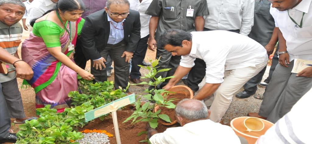 Mass Plantation Program by ENVIS Centre under Haritha Haram Program About Haritha Haram Program The Hon ble Chief Minister K. Chandrashekar Rao has launched the Haritha Haram program.