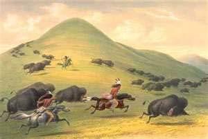 Impact on Native Americans The Plains Indians greatly depend on the buffalo for food, clothing, fuel, and shelter.