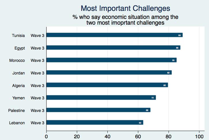 Most important challenges The Arab Barometer reveals that economic concerns remain a primary concern of most Arab citizens.
