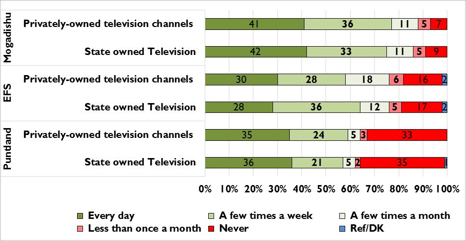 Television Use: Television and radio were the primary sources of political information for Somalis in the three areas.
