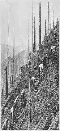 improving national parks, etc.) CCC improved Kennesaw Mt. National Battlefield, Cloudland Canyon State Park, and helped to construct the Appalachian Trail. # of blacks in program was low. 2.