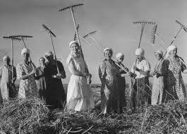 1928 Government seizes over 25 million privately owned farms and combined them into collective farms Large government owned farms Peasants tried to resist being forced to work on the