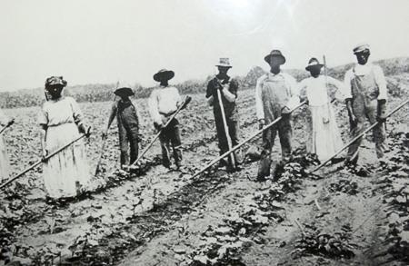 Challenges for Blacks in the South Paid wages, or allowed to rent and farmland Sharecropping became the most common job of a newly