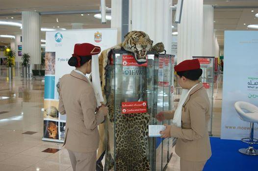 prosecution campaign, aiming to reduce the demand on ivory worldwide.