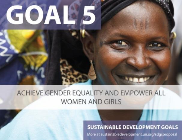 CSW AND POST-2015 CSW58 (2014): Outcome: Recognition importance of stand-alone gender goal.
