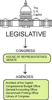 Article 1: The Legislative Branch Candidate s Requirements Term of Office Number of Members