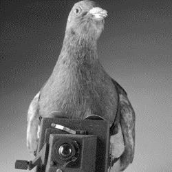 The overhead imaging that began with the pigeon camera has evolved into the