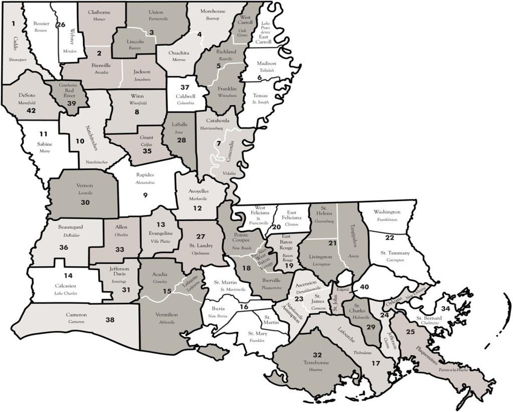 APPENDIX C: BACKGROUND Louisiana Court System. The Louisiana court system consists of a supreme court, five courts of appeal, and 42 judicial districts. This review focused on the judicial districts.