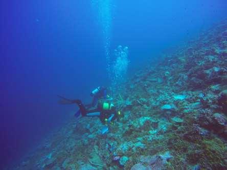 al. (2017) Coral bleaching and mortality in