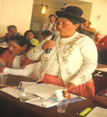 The policy of gender mainstreaming assumed by the Peruvian State has not yet been incorporated into the
