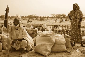 Civilians continued to flee from Sudan s Darfur region into neighboring Chad during the year. u n h c r / h.