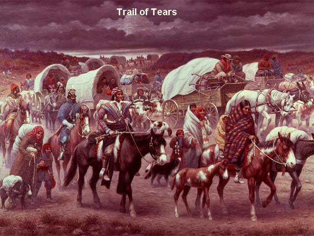 Consequences of Westward Expansion Indian Removal: In 1830, President Andrew Jackson had the Indian Removal Act passed.