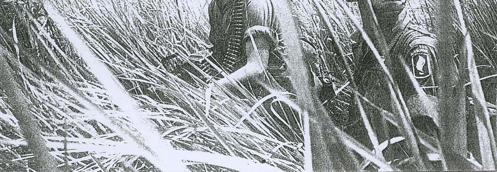 Our company is currently involved in an operation to prevent the local rice harvest from falling into VC (Viet Cong) hands.