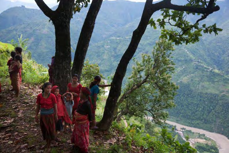 Pitfall: Forests in Nepal Run-away deforestation in 1970s