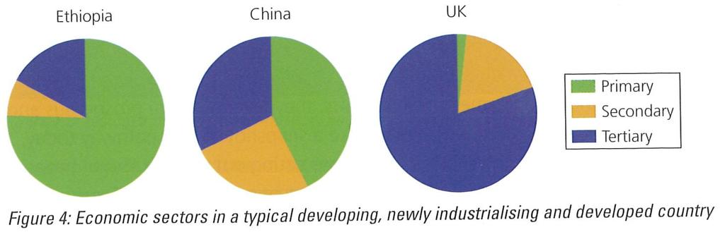 Countries are usually divided into developed (HICs) and developing (LICs).
