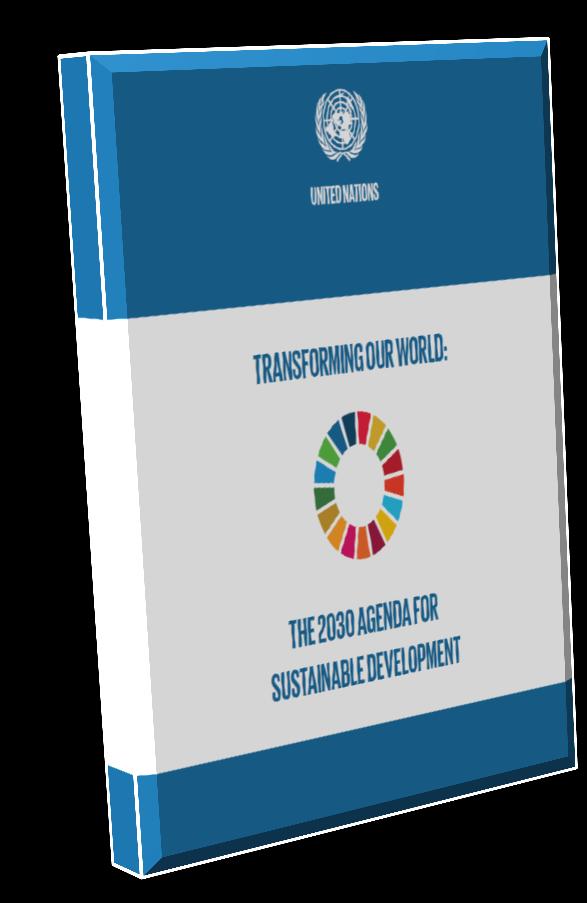 context, considering translating the SDGs into actions at the national level, is conditioned by national realities, capacities,