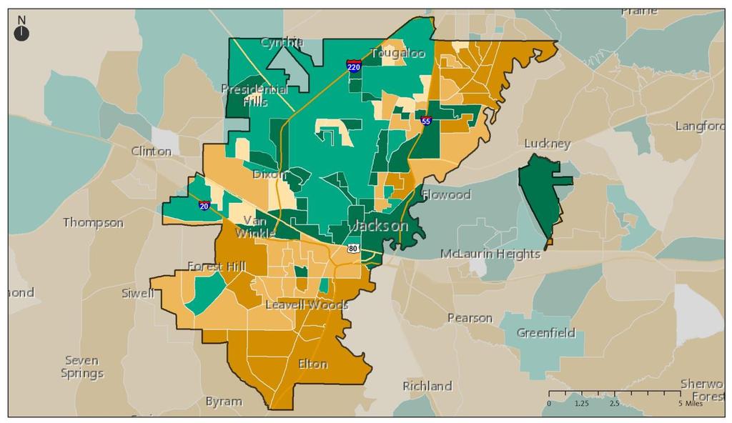 An Equity Profile of Jackson PolicyLink and PERE 21 Demographics Declining numbers of people of color in the central city, growth in the suburbs Mapping the growth in people of color by census block