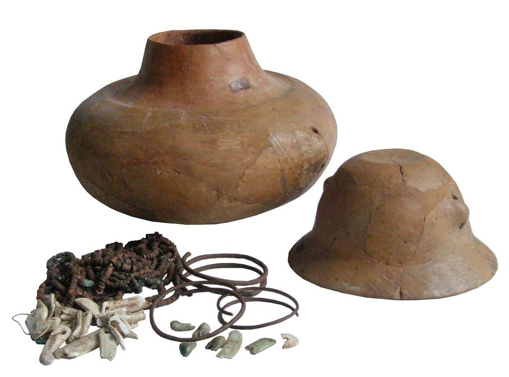 Figure 1. Hoard of Ariuşd. The issue of pharyngeal teeth as raw material for adornments has not been known until recently in the Romanian archaeology.