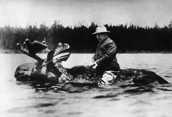 WHAT A LOAD OF BULL MOOSE At the Republican convention, TR spoke so eloquently that he whipped the crowd into a near-religious frenzy.