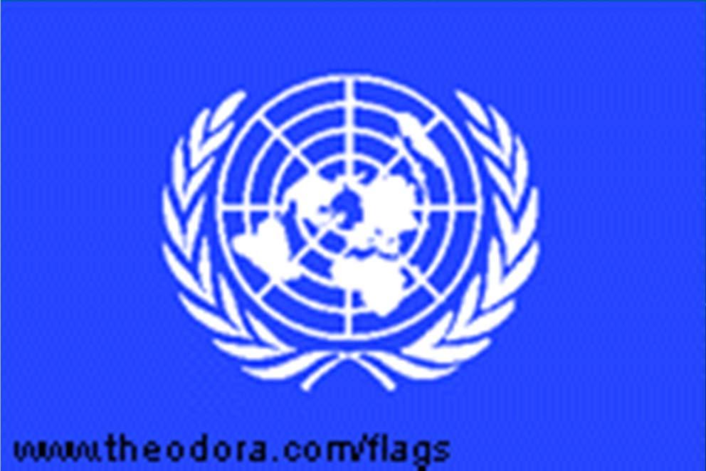 The United Nations The general purpose of the United Nations is to provide for a way for all nations to work together to solve problems in order to prevent war.