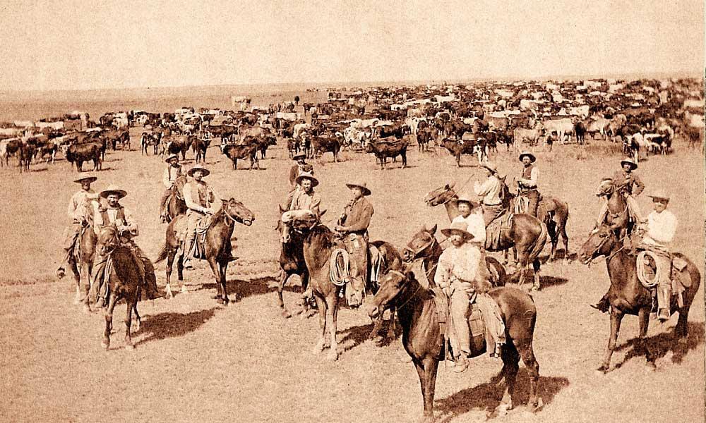The Cattle Frontier The economic potential of the vast open grasslands that reached from Texas to Canada war realized by ranchers in the decades after the Civil War.