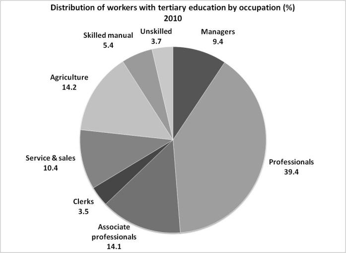 Figure 10. Workers with tertiary education often take less skilled jobs Panel A Panel B Source: HBS 2010; Bank staff calculations. 29.