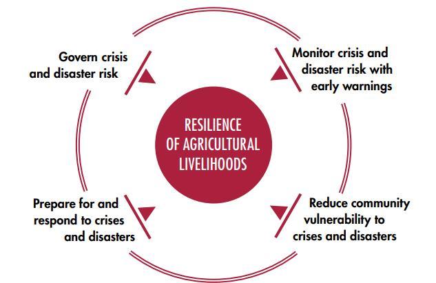 Resilience programming: A key component of FAO s approach to the hum-dev nexus FAO employs a twin track approach that brings together humanitarian and development perspectives: i) Saving livelihoods