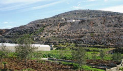 Food production in the West Bank, a part of Norwegian People's Aid's emergency support to agricultural sector.
