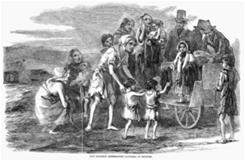 Irish Potato Famine In 1845,a disease attacked Ireland s main food crop, the potato, causing a severe