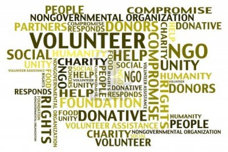 Non-Government Organizations A non-government organization (NGO) is any nonprofit, voluntary citizen s group which is organized on a local, national or international