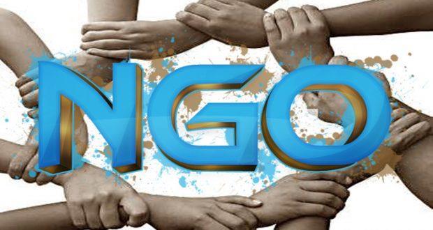 What do NGOs Provide? Analysis They study the problem and how to best fix them.