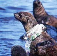 & Prop 67 Plastic bags 65: money from