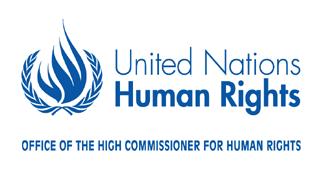ADVANCED TRAINING COURSE ON INTERNATIONAL HUMAN RIGHTS MECHANISMS Friedrich-Ebert-Stiftung Geneva, 10-16 November 2013 Please