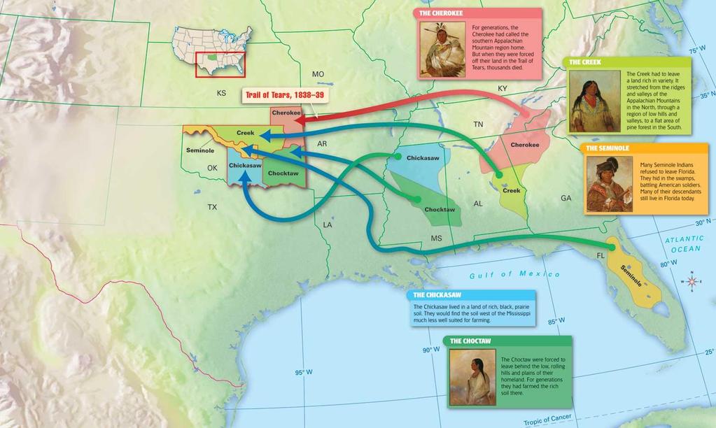 History and Geography The Indian Removal Treaties In 1830 President Andrew Jackson signed the Indian Removal Act into law.