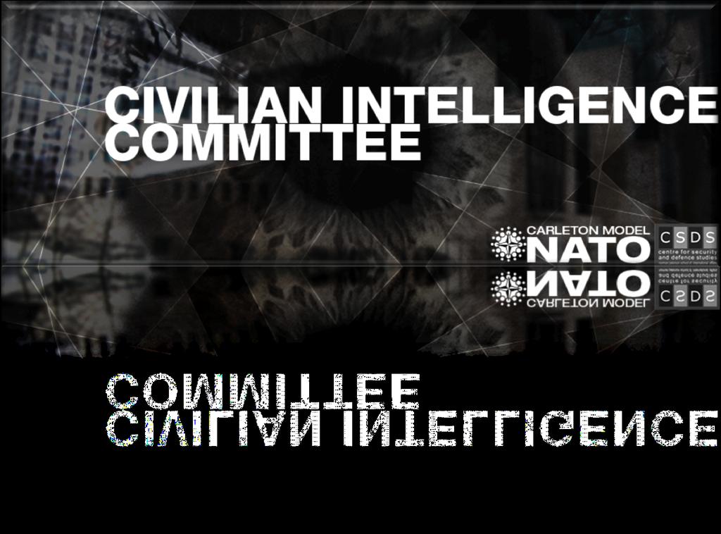 Each NATO member country is represented on the Committee by its security and intelligence services. It is chaired on an annual rotational basis by the nations.