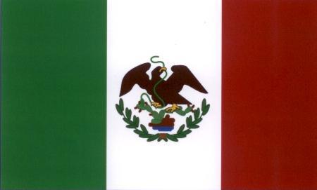 Texas Constitutional History: Coahuila y Tejas (1827-1836) o Texas lobbied for their own state within the Mexican federation, but their requests were