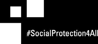 Support the further development of a financing plan for social protection and the