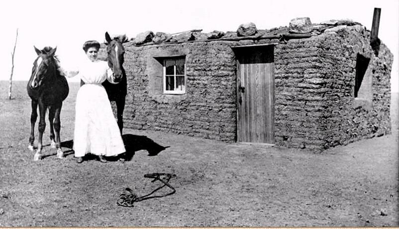 In 1870, homesteaders pushed West & adapted to the harsh farming conditions: A pioneer sod house Farmers used dry farming techniques &