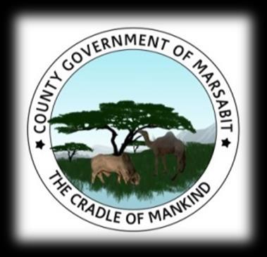 COUNTY GOVERNMENT OF MARSABIT PROVISION OF FUMIGATION AND